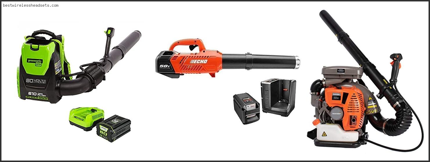 Best Commercial Electric Leaf Blower