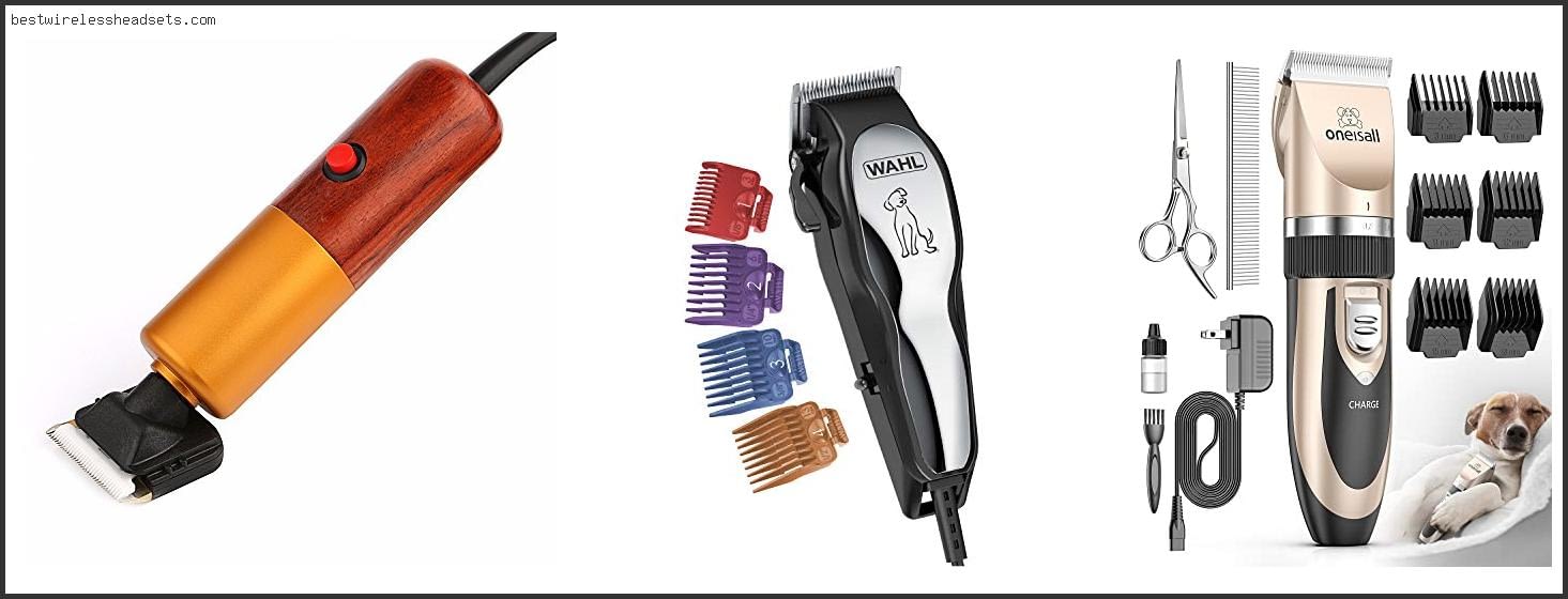 Top 10 Best Electric Dog Clippers [2022]