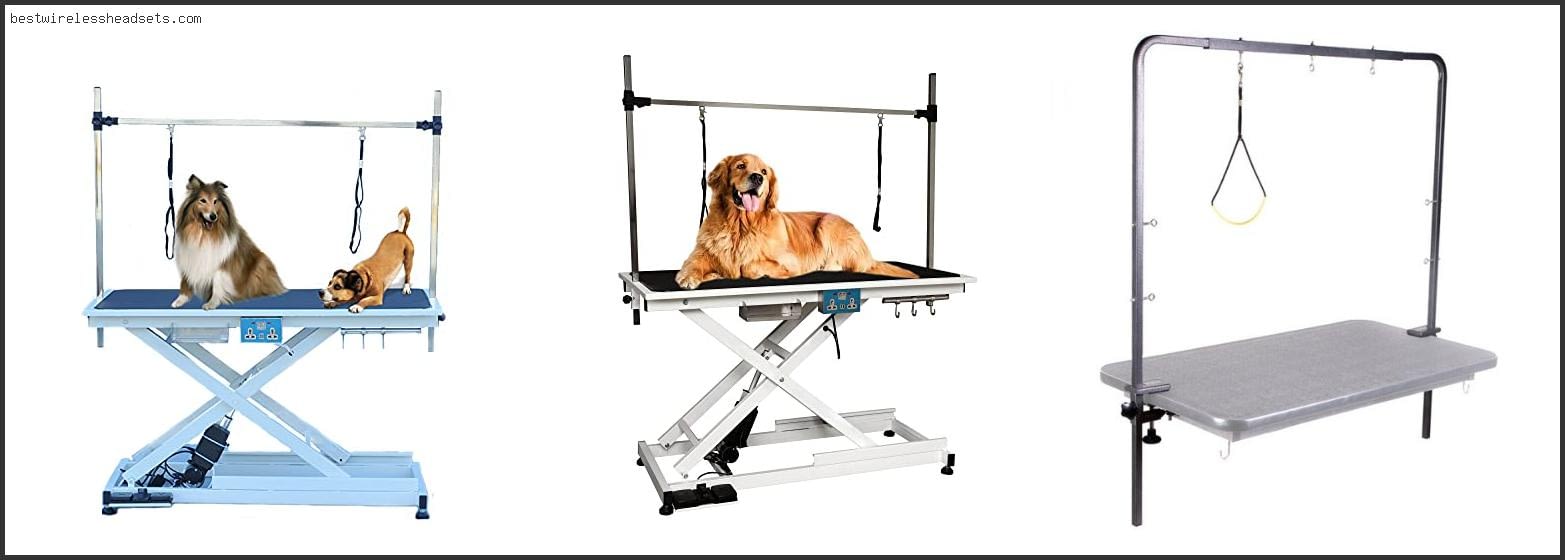 Top 10 Best Electric Dog Grooming Table [2022]