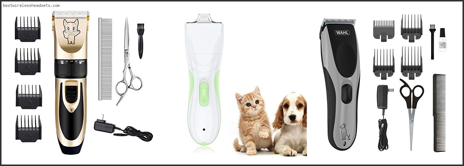Top 10 Best Electric Dog Shaver [2022]