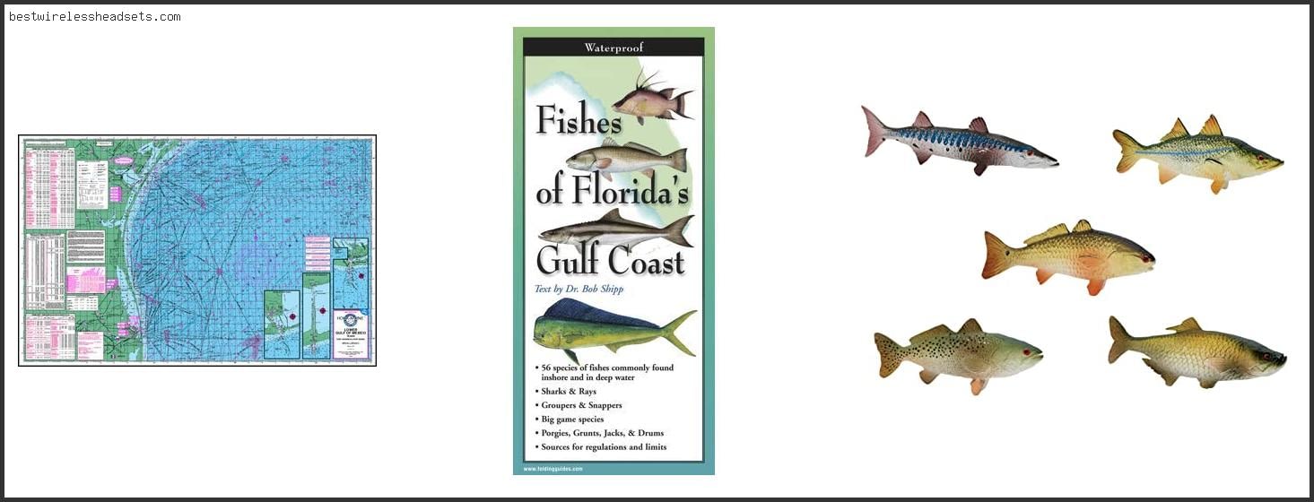 Top 10 Best Fishing Gulf Coast [2022]